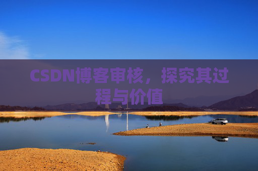 CSDN博客审核，探究其过程与价值